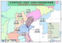 “利奇馬”已致651萬人受災(zāi)這些地方仍要嚴(yán)陣以待-上海空運(yùn)