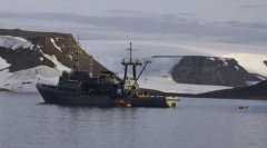 海象護(hù)崽“撞沉”俄海軍船只-上海空運(yùn)